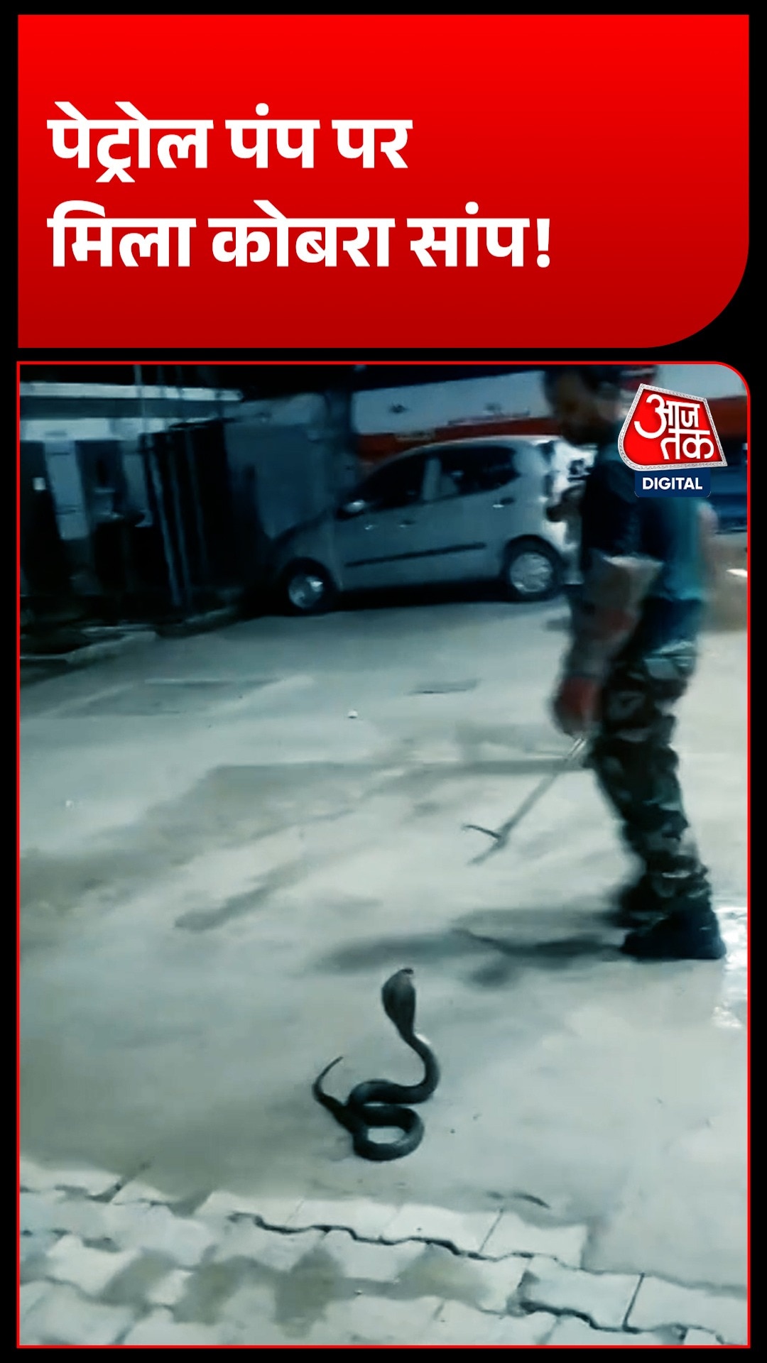 bijnor petrol pump cobra snake