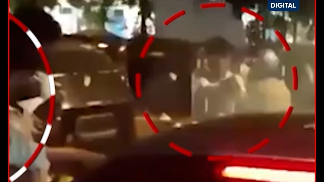 Tiger Accussed Arrest 
