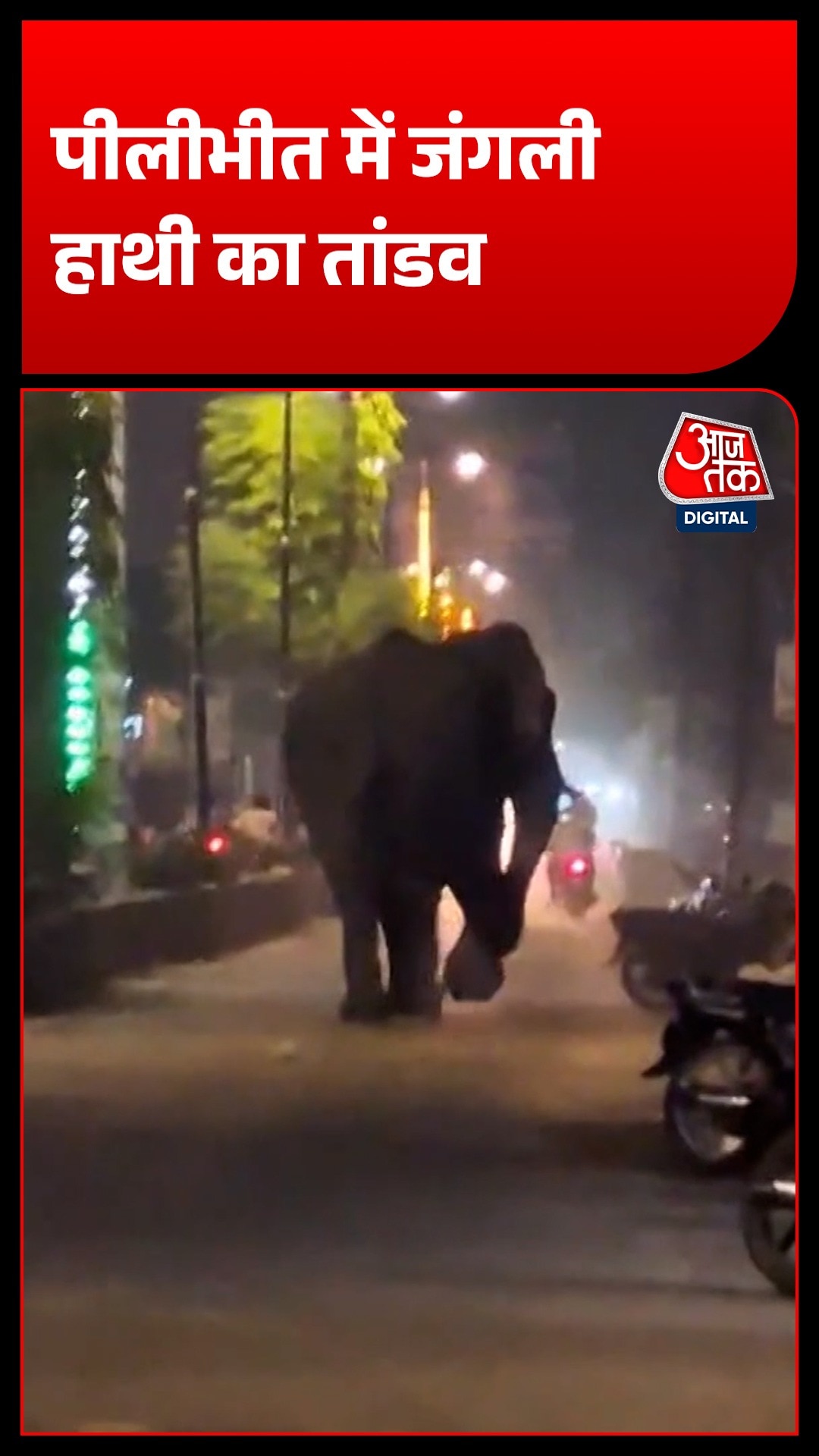 Pilibhit Elephant Terror