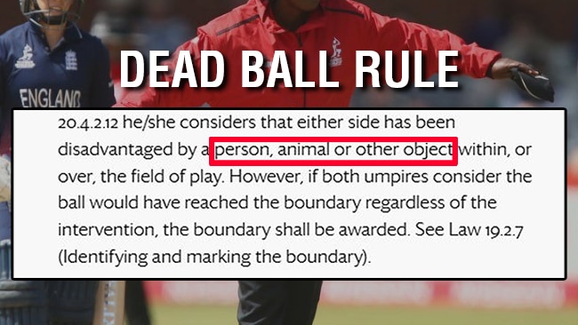 dead ball rule 