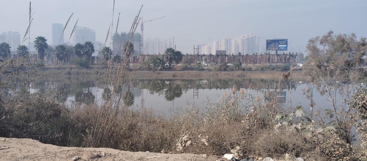 Noida Software Engineer Death Case