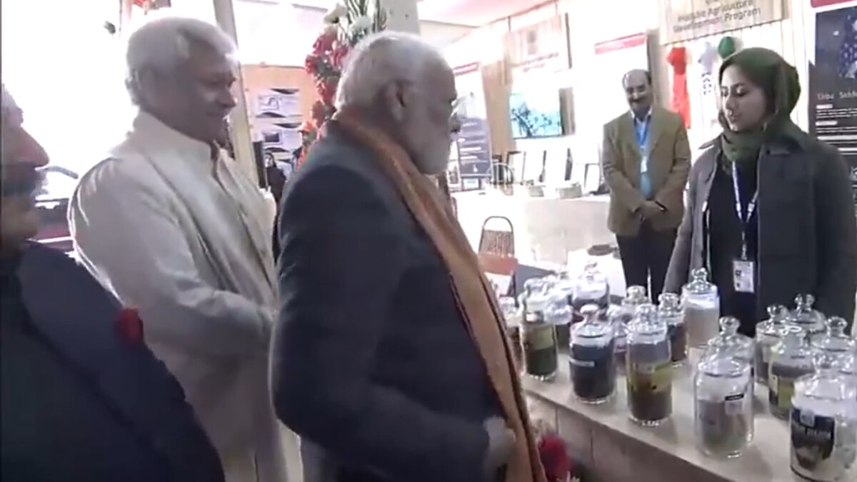 अमेरिका