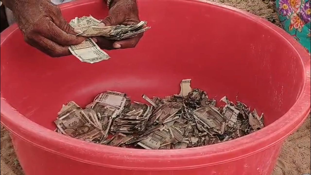 बालोतरा