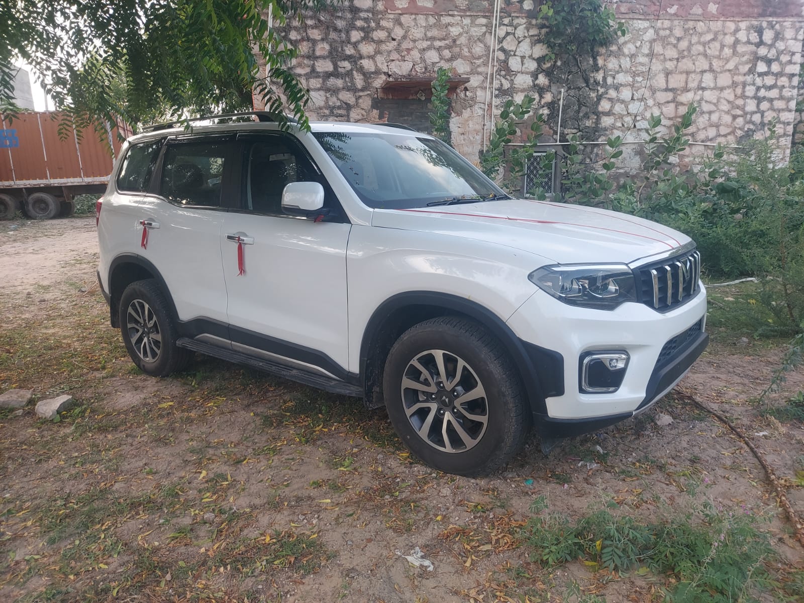 नागौर