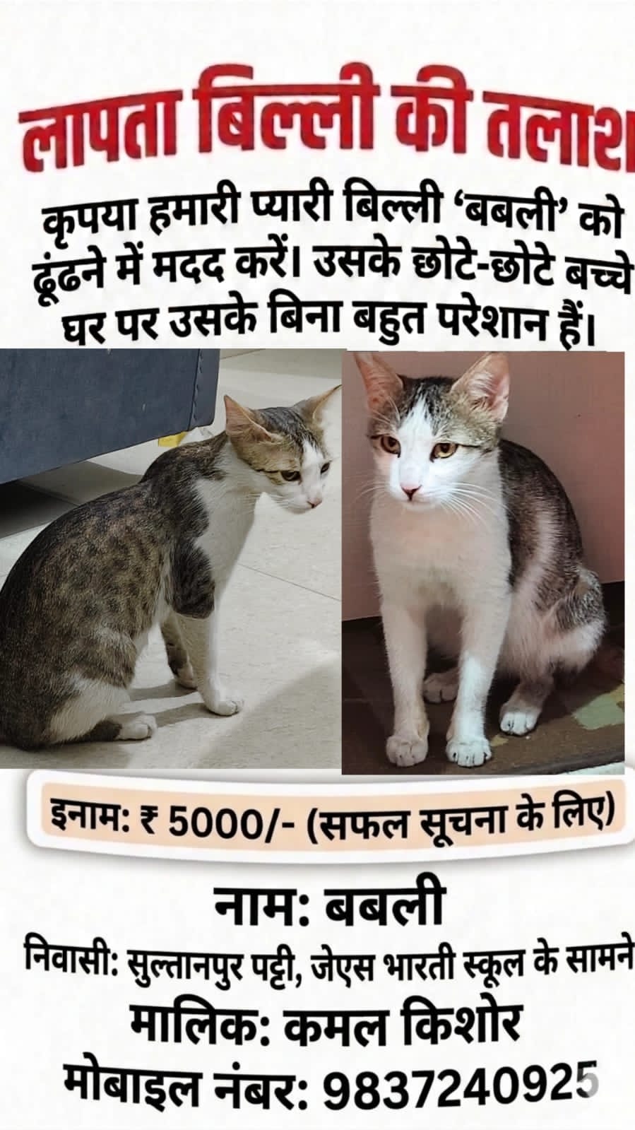 रामपुर