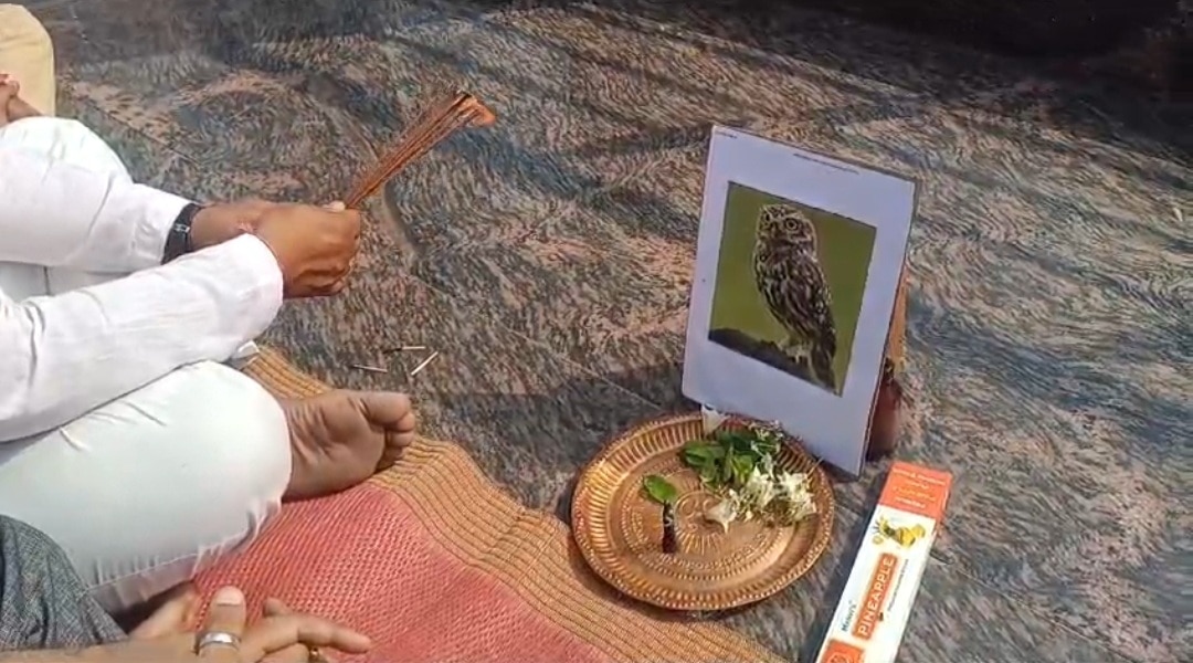 उल्लू पूजन करते डिग्री कॉलेज के प्रोफेसर.