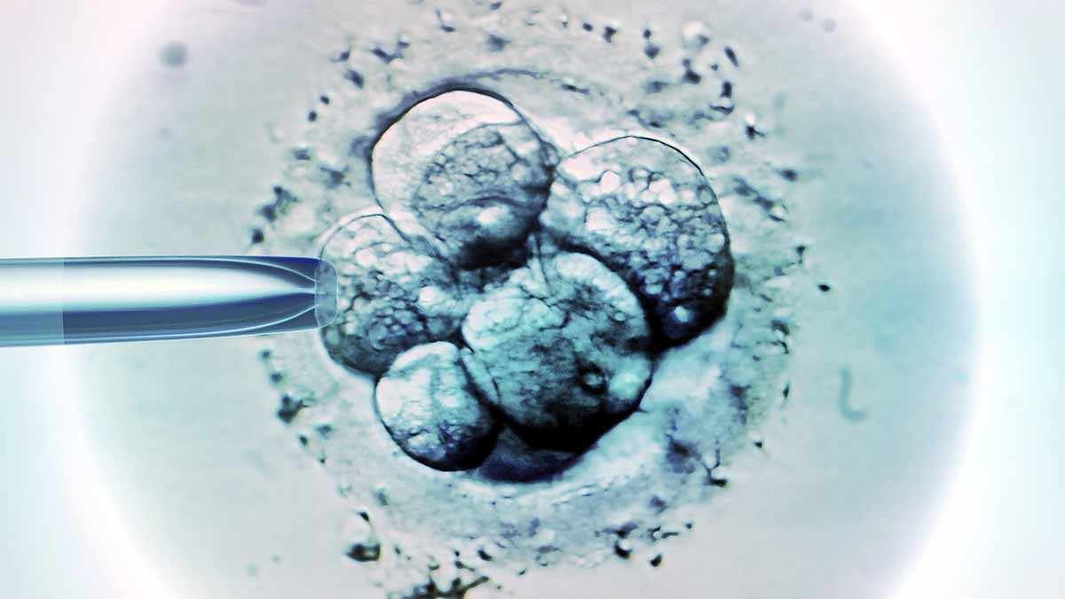three parents baby