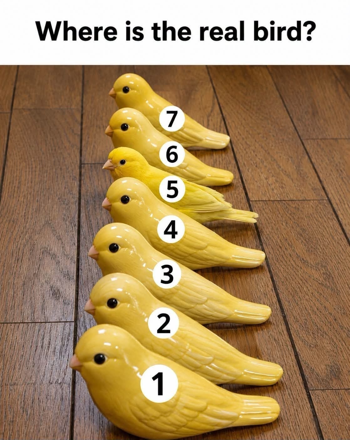 .