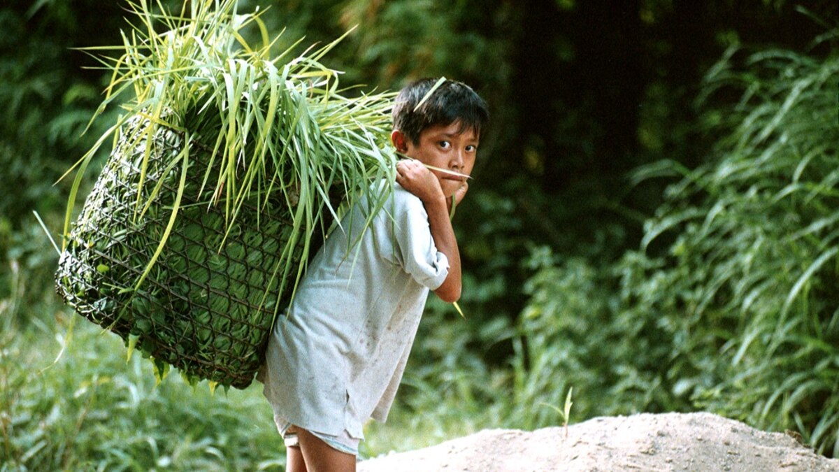 Child Labour