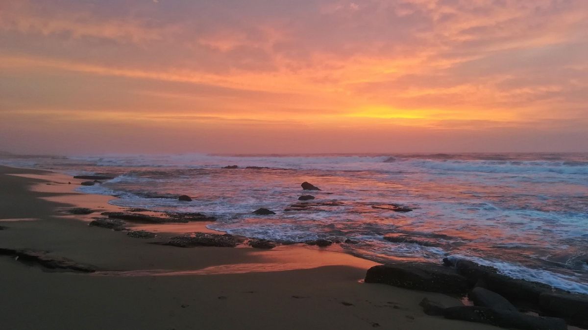 Galgibaga (Turtle) Beach, South Goa