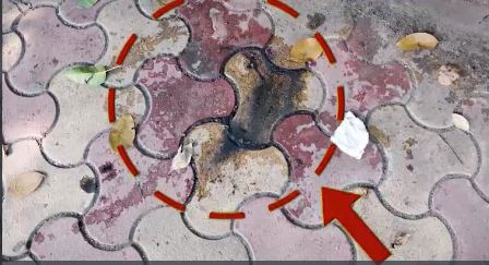 Delhi Acid Attack Case