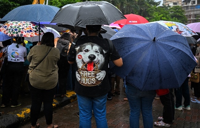 animal lover campaign stray dogs (Photo- AFP)