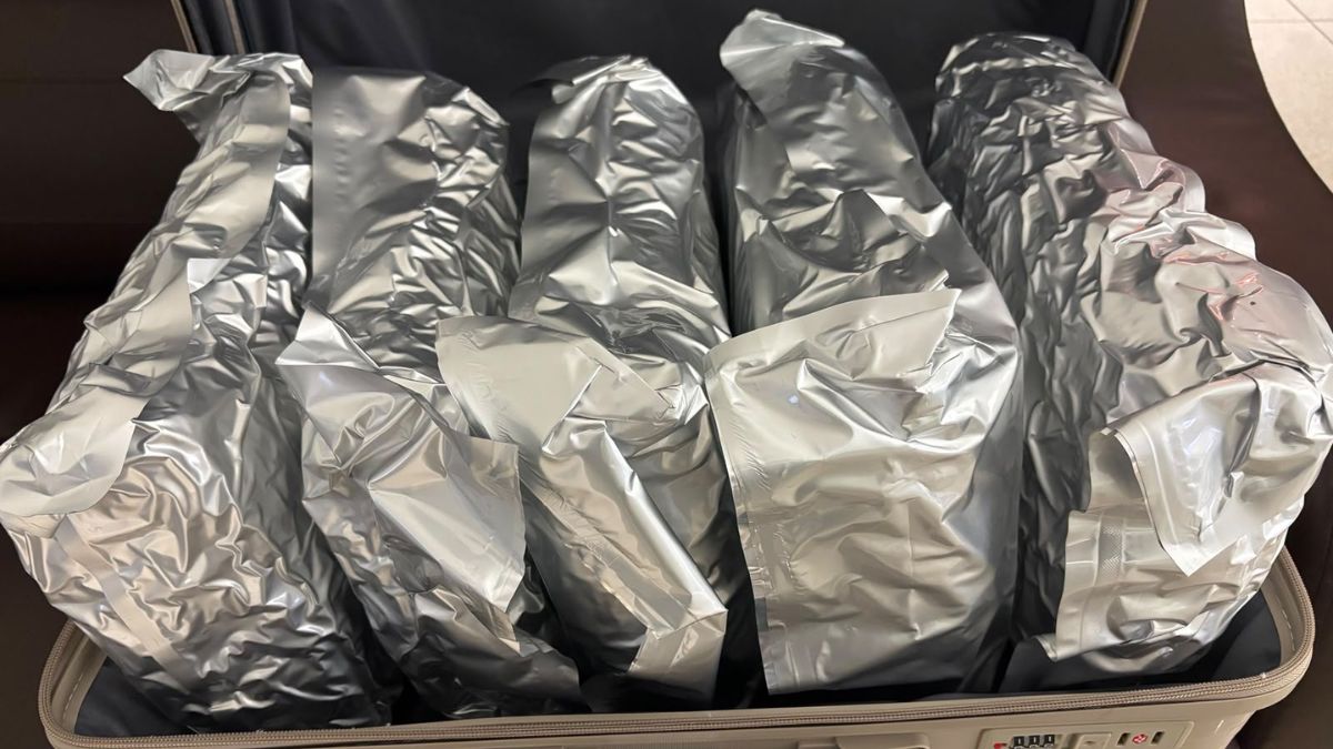 ahmedabad airport customs seize 11 kg hydroponic marijuana