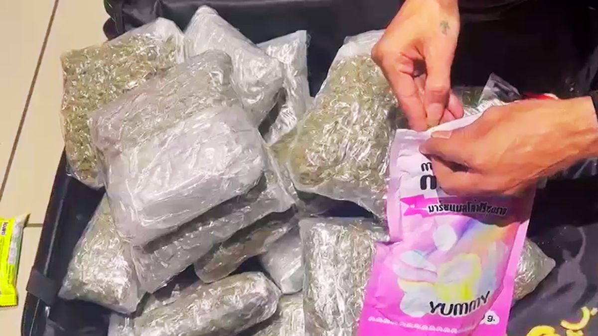 ahmedabad airport customs seize rs 4 crore hydroponic ganja from bangkok passenger