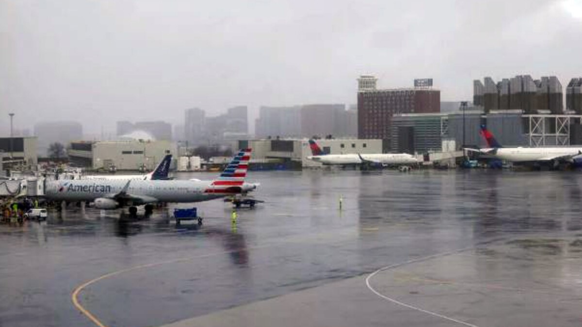 एयरपोर्ट पर व्यक्ति ने बचने की कोशिश तो पूरी की लेकिन स्निफर डॉग्स ने उसे कामयाब नहीं होने दिया एयरपोर्ट पर व्यक्ति ने बचने की कोशिश तो पूरी की लेकिन स्निफर डॉग्स ने उसे कामयाब नहीं होने दिया