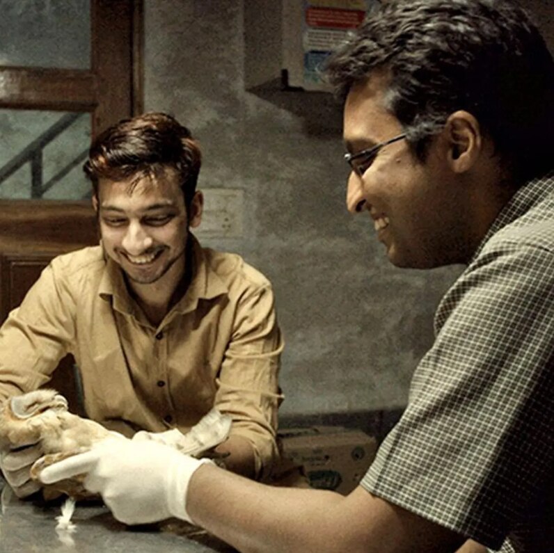 ऑल दैट ब्रीद