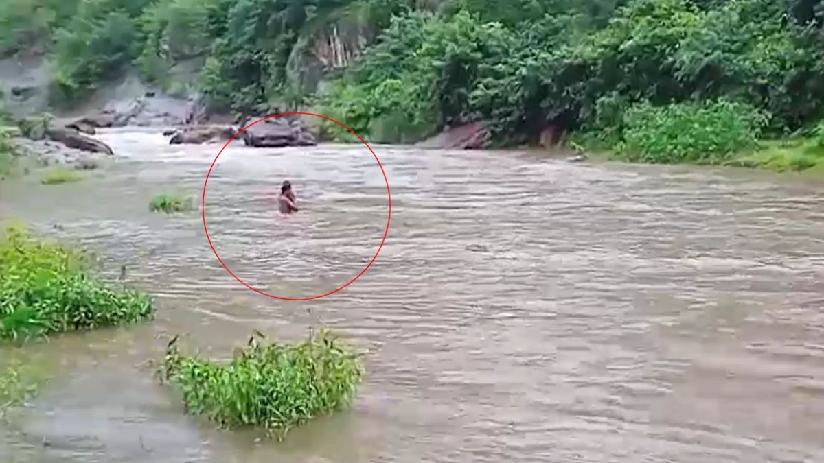 alluri sitharama raju swollen onukonda stream puts tribal residents at risk
