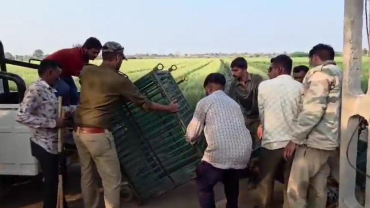 Amreli lion fell into well and drowned third lion to die in last months