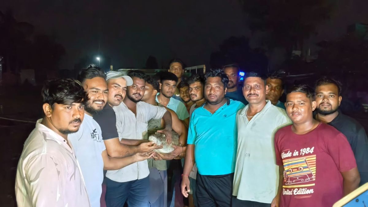 anand 7 foot crocodile found inside house bathroom rescued one hour operation anand 7 foot crocodile found inside house bathroom rescued one hour operation