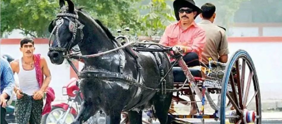 Bahubali Anant Singh Bahubali Anant Singh