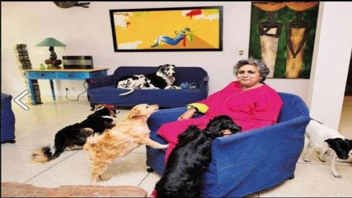 अमेरिका