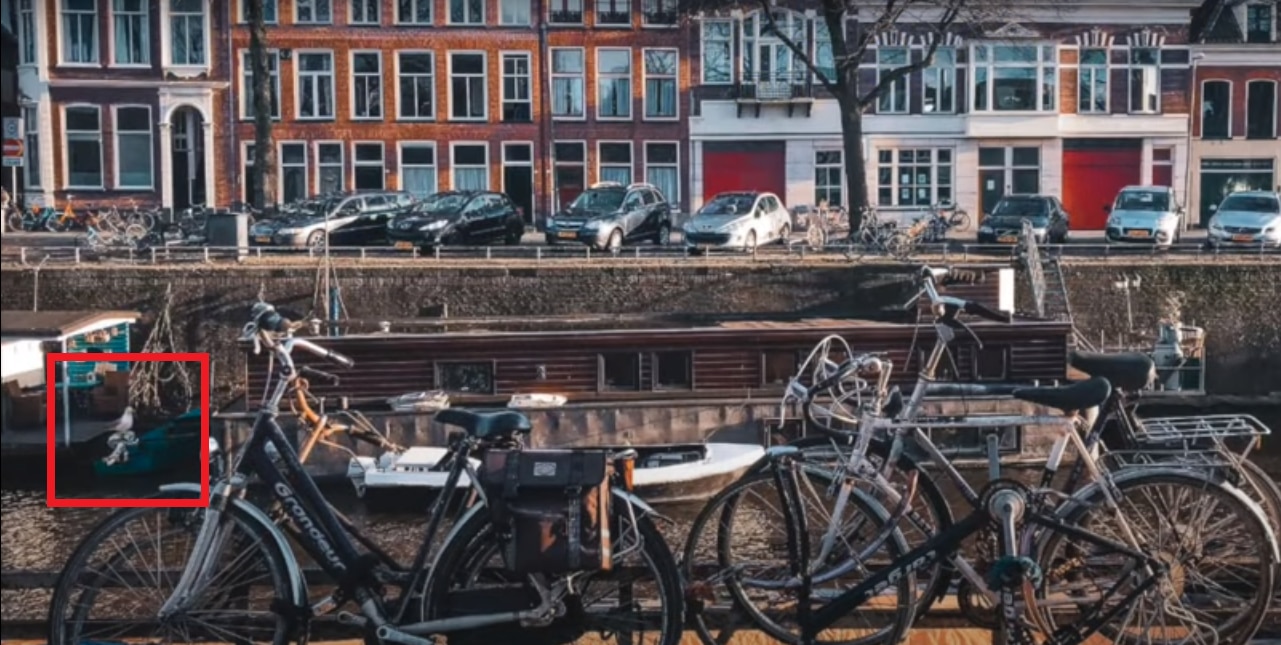 Optical Illusion Quiz Optical Illusion Quiz