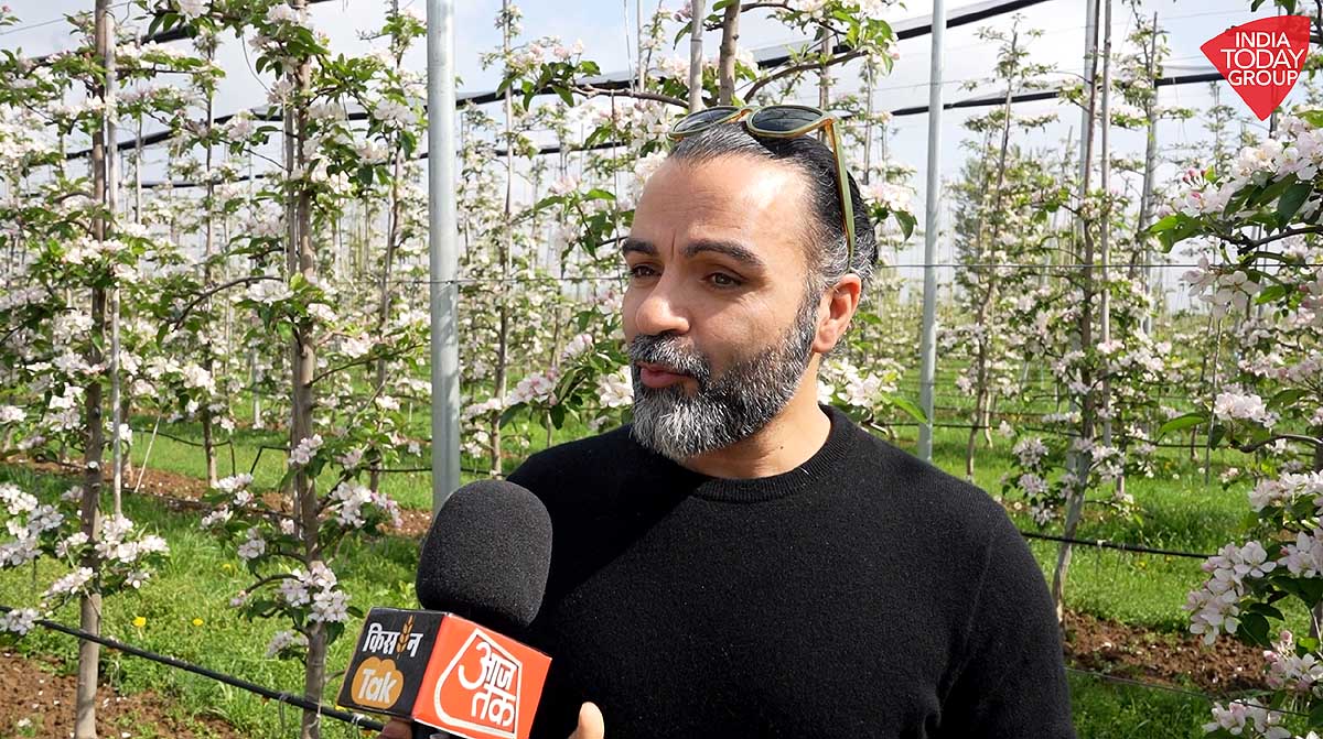 Apple farming in kashmir