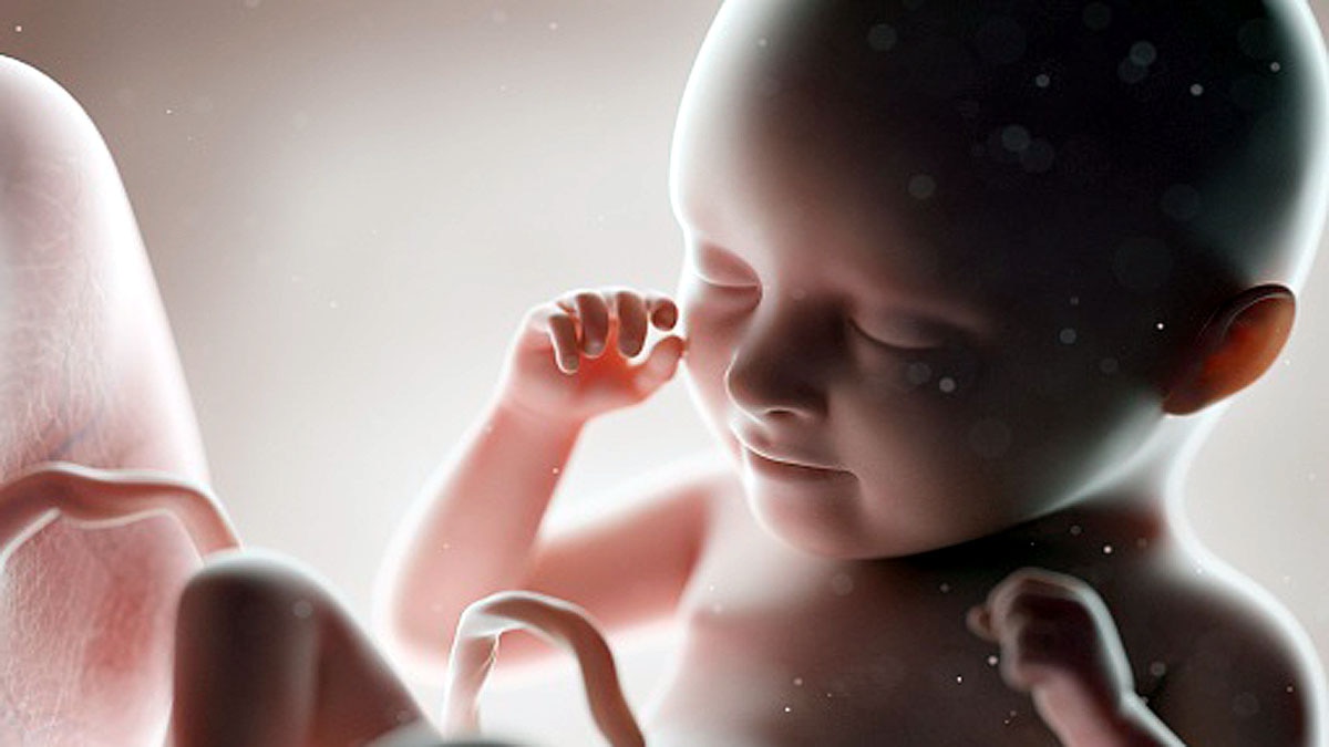 Pollution in Mothers Womb