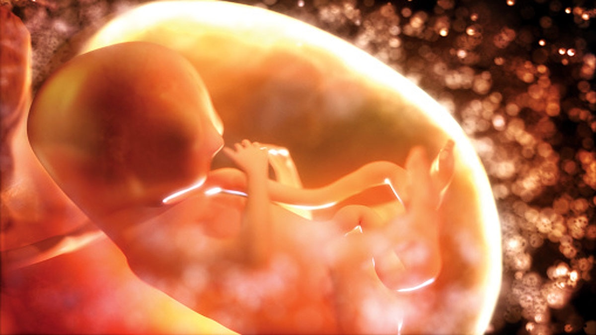 Pollution in Mothers Womb