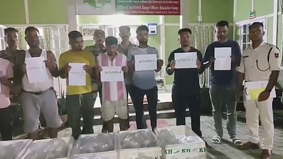 assam cheng fish seizure 500 rare protected fish bus five detained assam cheng fish seizure 500 rare protected fish bus five detained