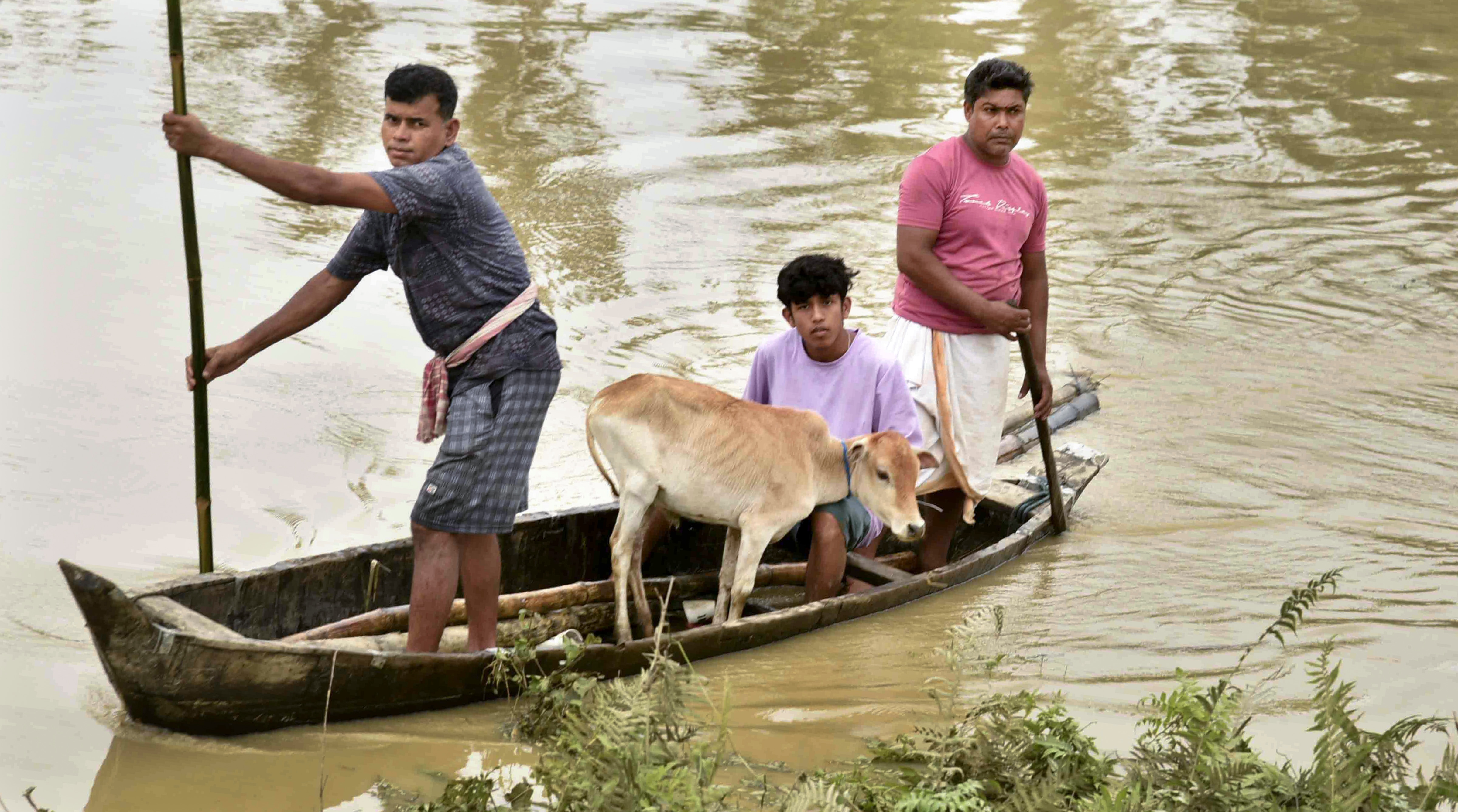 assam rain