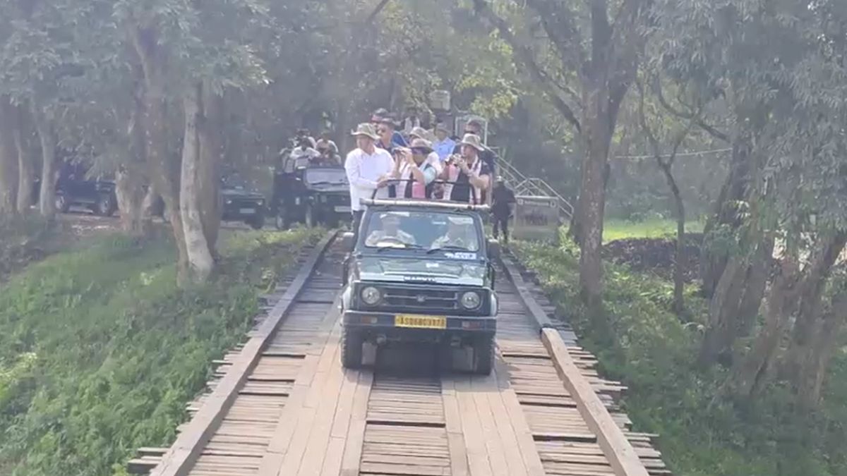 Assam Wildlife Tourism Season Begins Manas Kaziranga Reopen For Visitors Assam Wildlife Tourism Season Begins Manas Kaziranga Reopen For Visitors