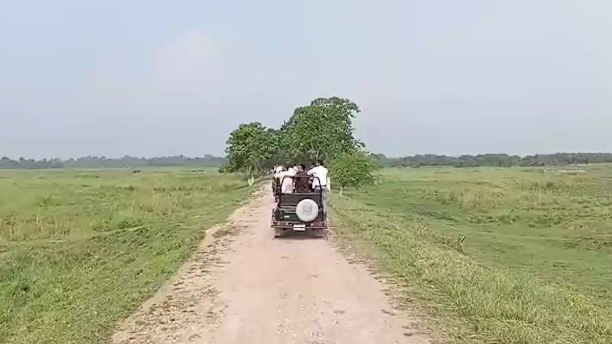 Assam Wildlife Tourism Season Begins Manas Kaziranga Reopen For Visitors Assam Wildlife Tourism Season Begins Manas Kaziranga Reopen For Visitors