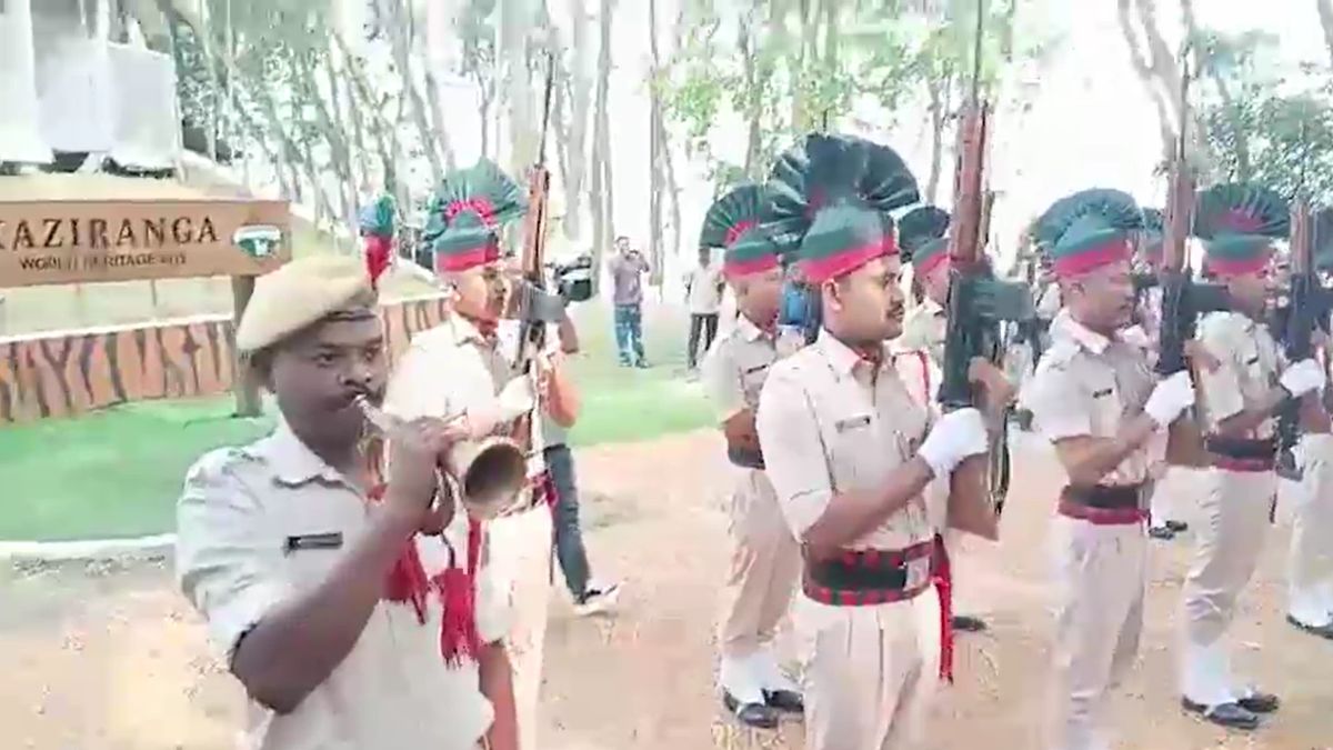 Assam Wildlife Tourism Season Begins Manas Kaziranga Reopen For Visitors Assam Wildlife Tourism Season Begins Manas Kaziranga Reopen For Visitors