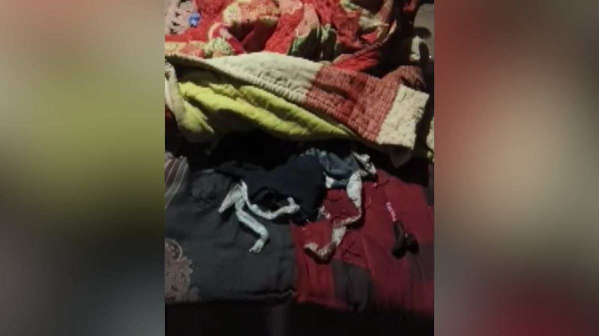 auraiya girl rumor snake skin found on bed investigation revealed truth