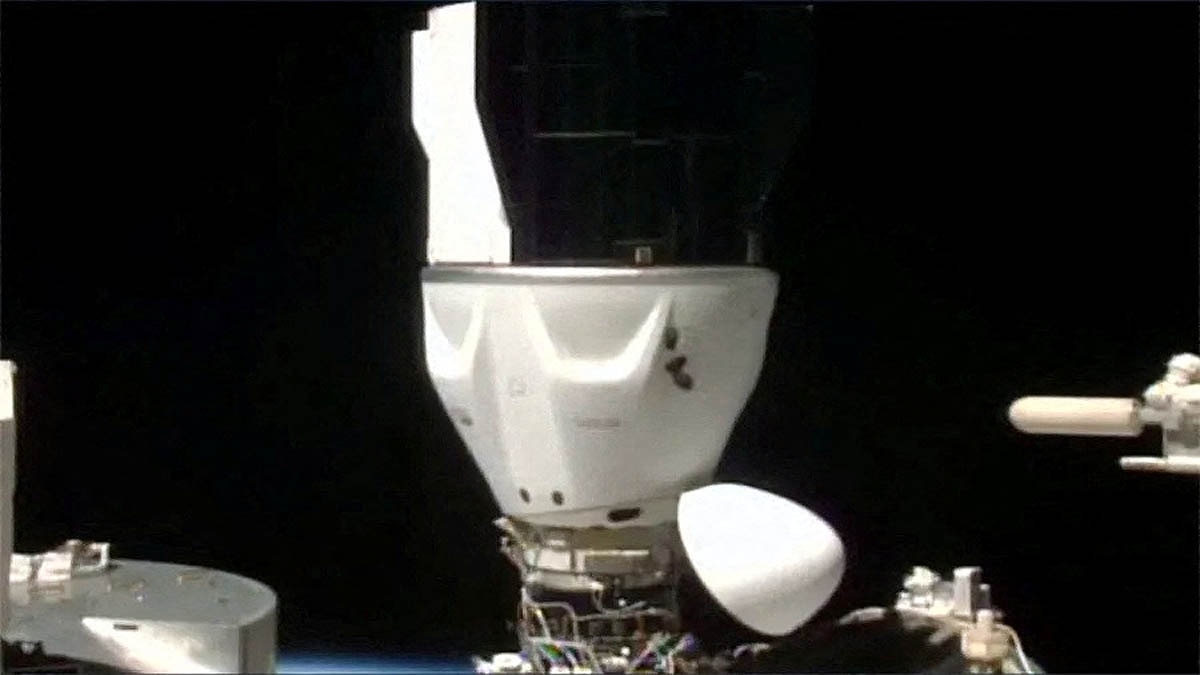 shubhanshu shukla, dragon capsule, sunita williams