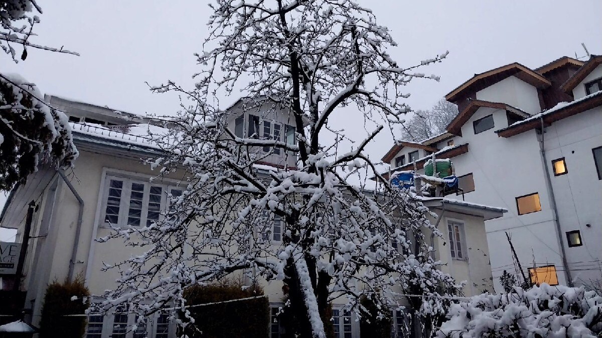 अमेरिका