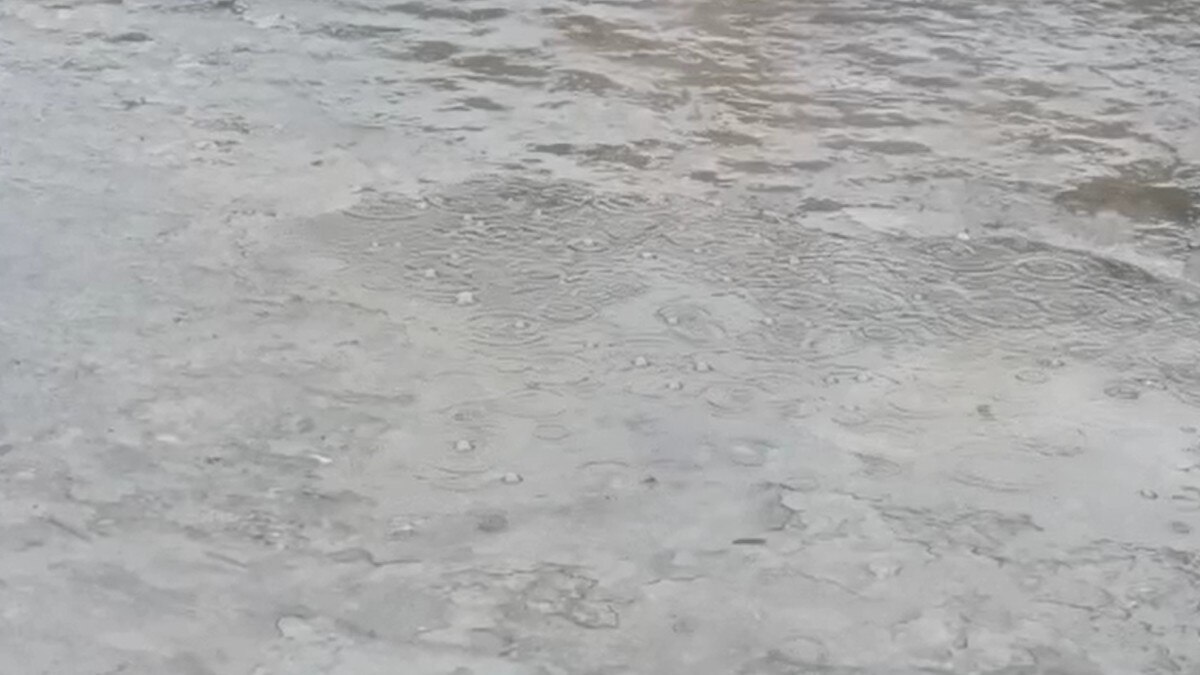 अमेरिका