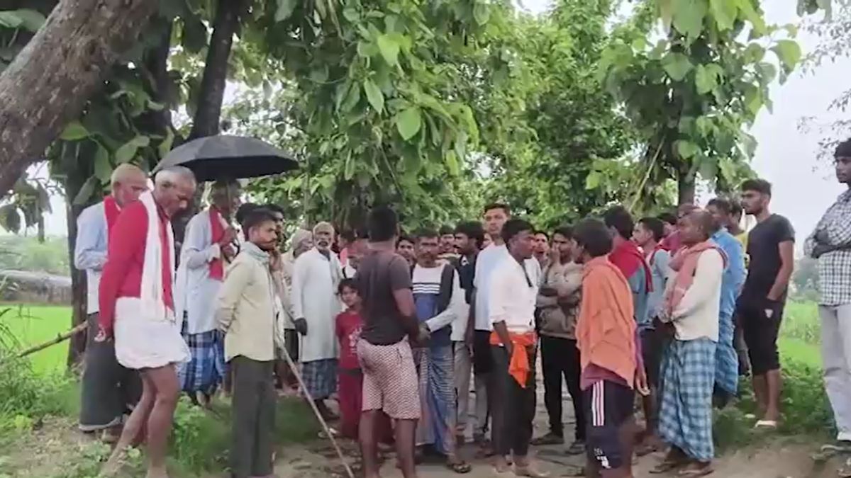 bagaha crocodile attack woman rescued by villagers bagaha crocodile attack woman rescued by villagers