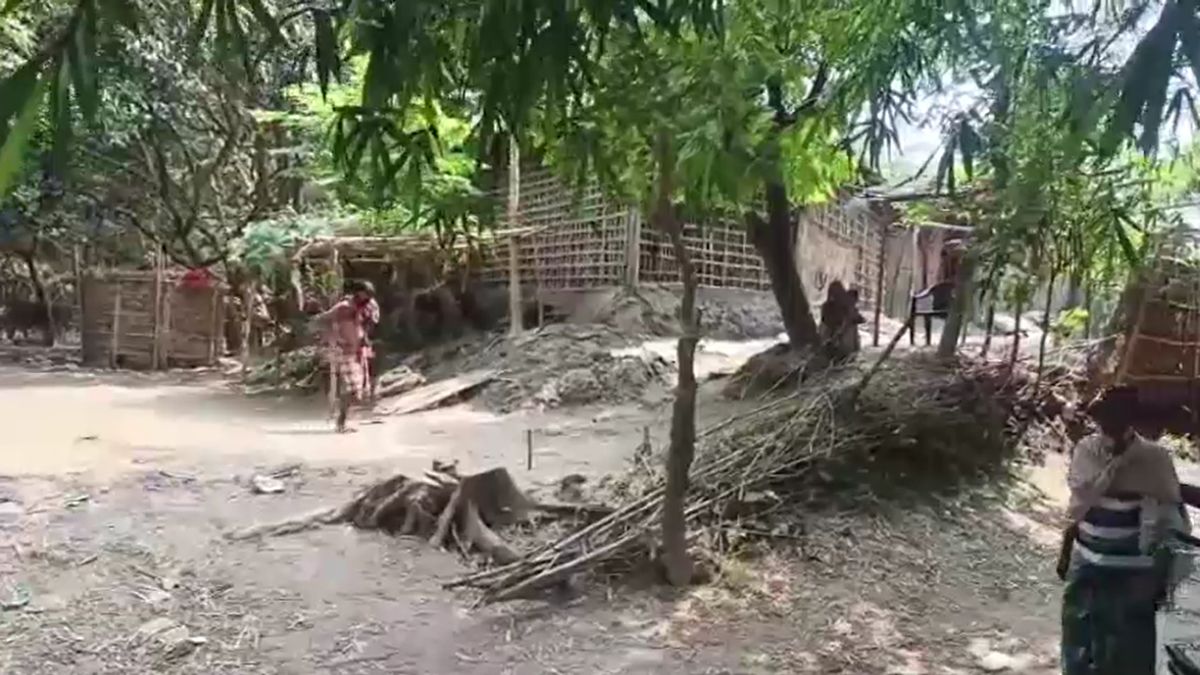 balancing on bamboo to cross river story of bihar village balancing on bamboo to cross river story of bihar village