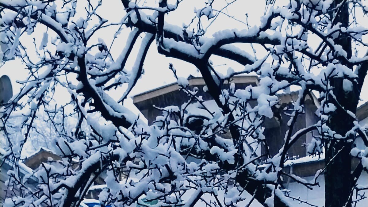 अमेरिका