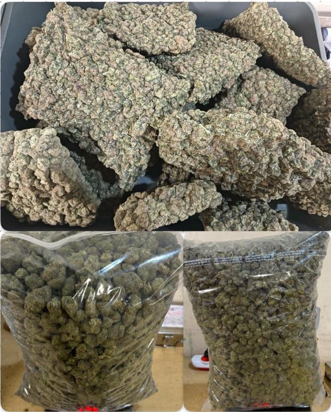 Hydroponic Weed seized Mumbai Airport