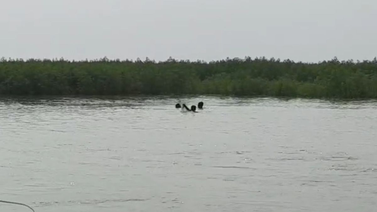 begusarai flood two women swept away ganga while bathing locals rescue begusarai flood two women swept away ganga while bathing locals rescue