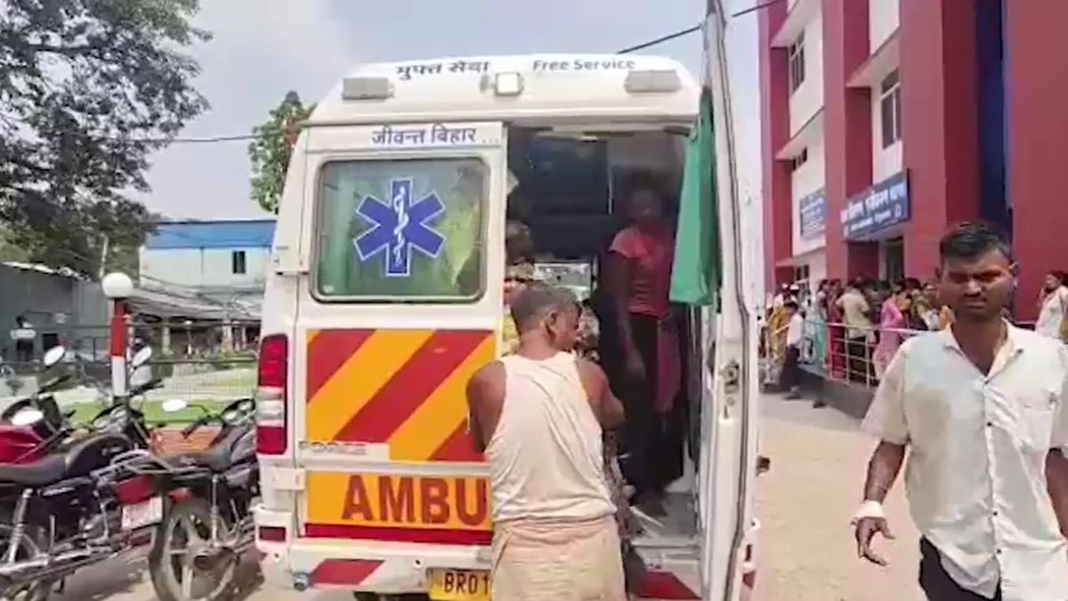 begusarai rabid jackal terror seven injured villagers kill animal begusarai rabid jackal terror seven injured villagers kill animal