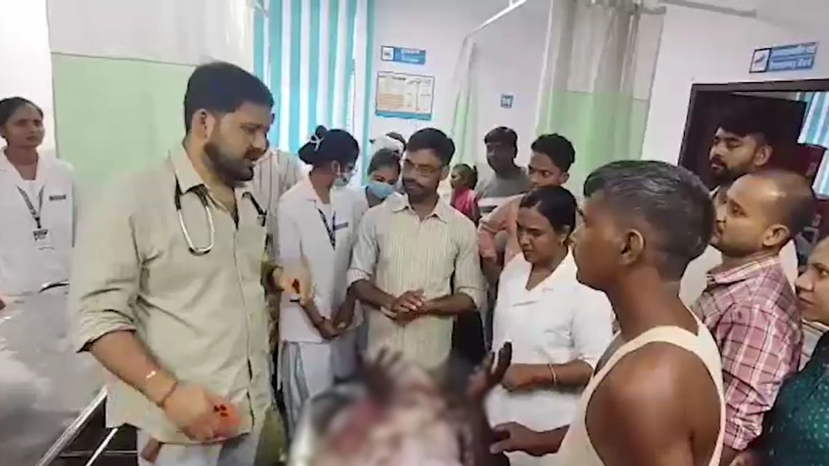 begusarai rabid jackal terror seven injured villagers kill animal begusarai rabid jackal terror seven injured villagers kill animal