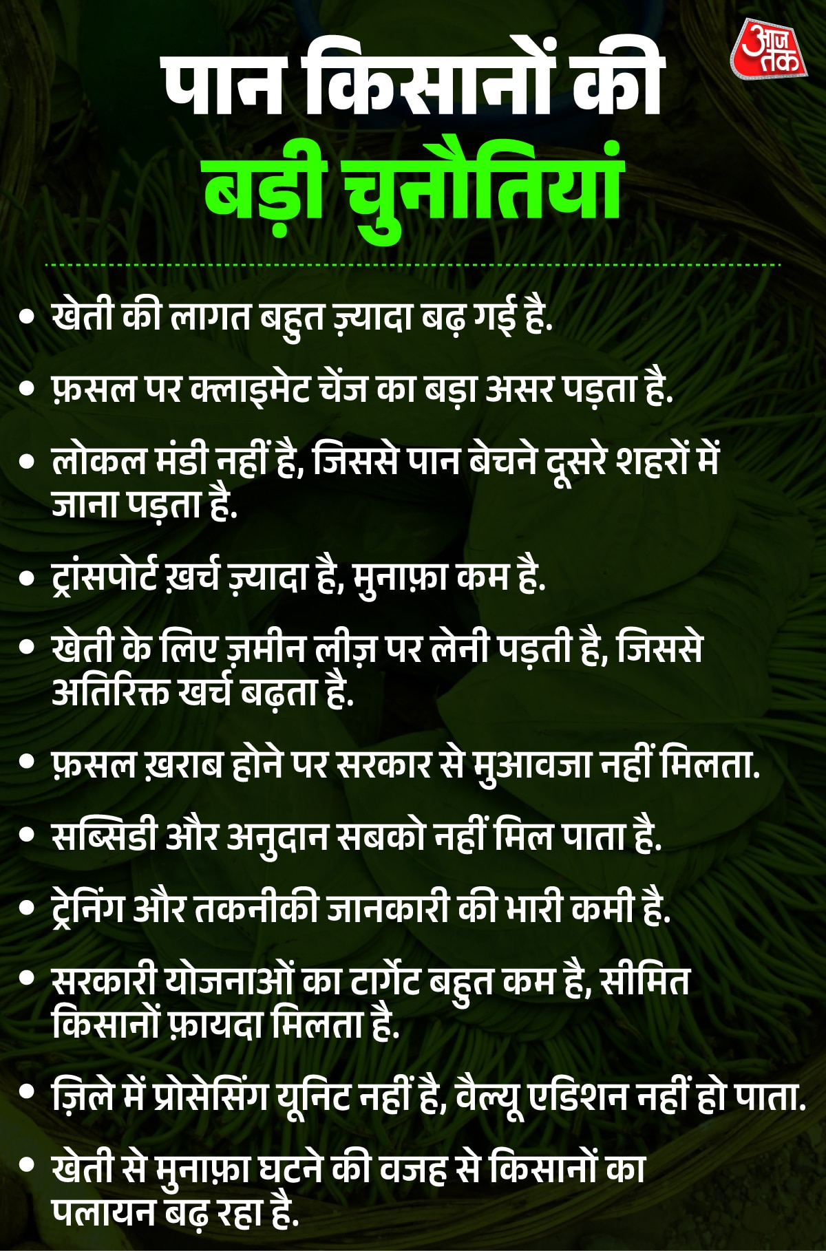 betel leaf ground report pratapgarh uttar pradeah