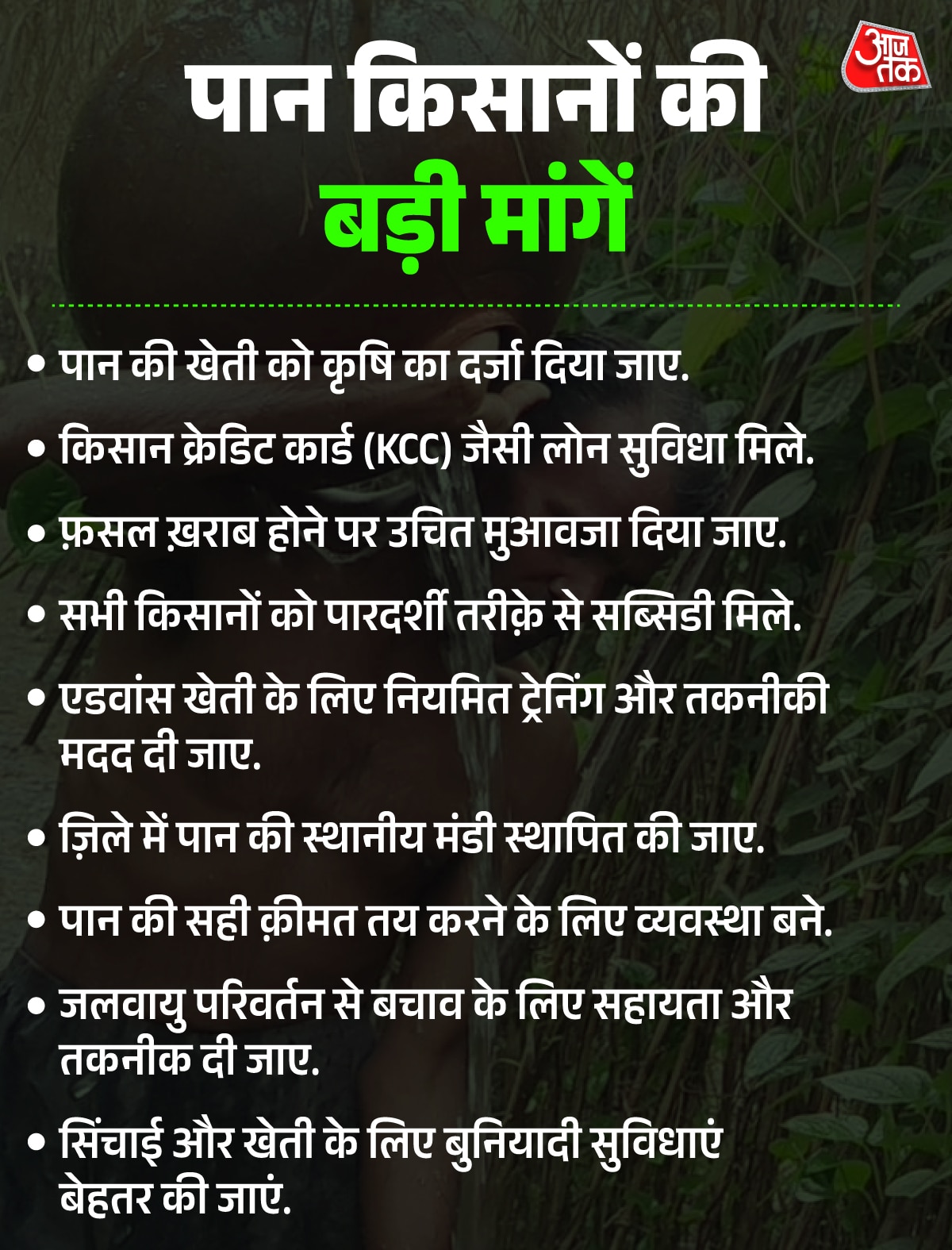 betel leaf ground report pratapgarh uttar pradesh
