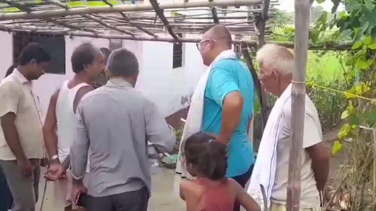 bettiah family sets rat trap finds venomous cobra inside cage bettiah family sets rat trap finds venomous cobra inside cage