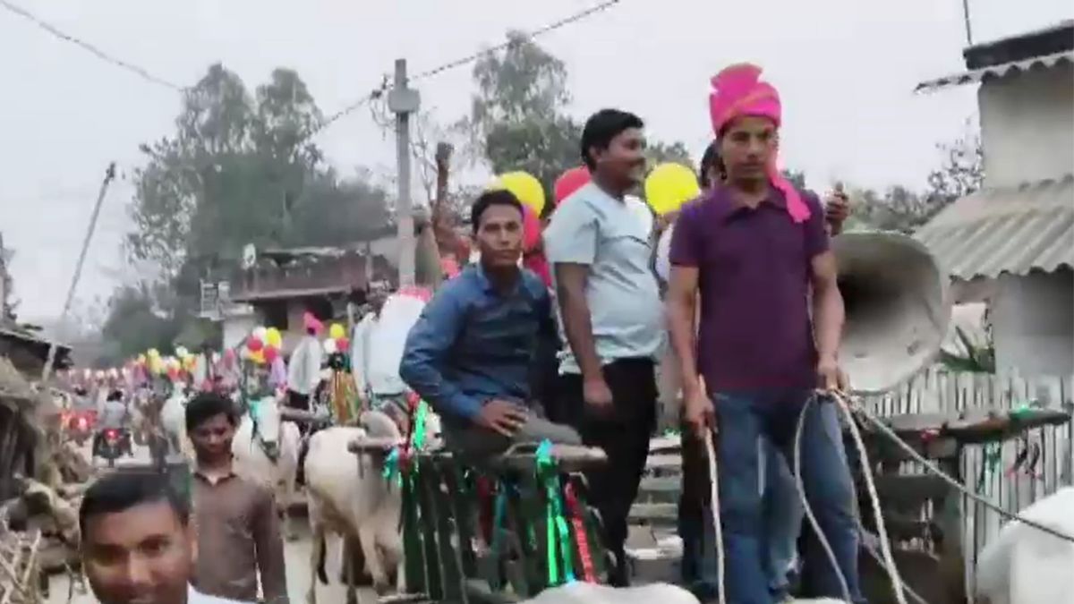 bettiah unique wedding engineer groom bullock cart baraat viral video
