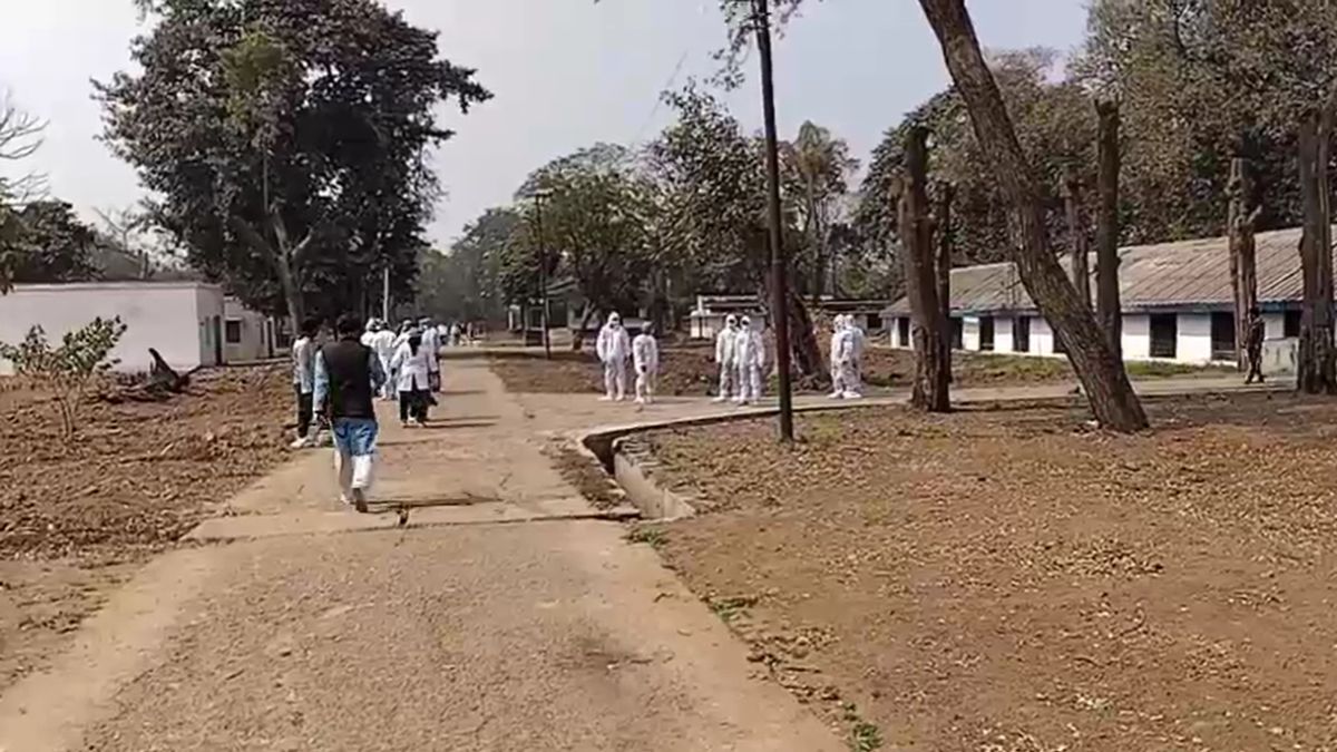 bihar bird flu 6000 chickens killed buried with salt